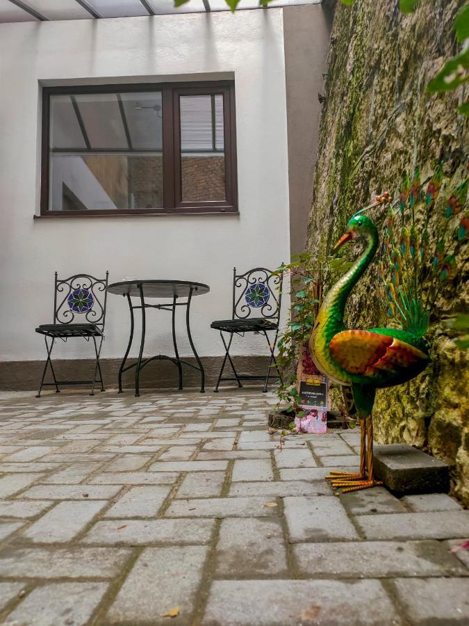 22 Loop Apartment ブラショフ エクステリア 写真