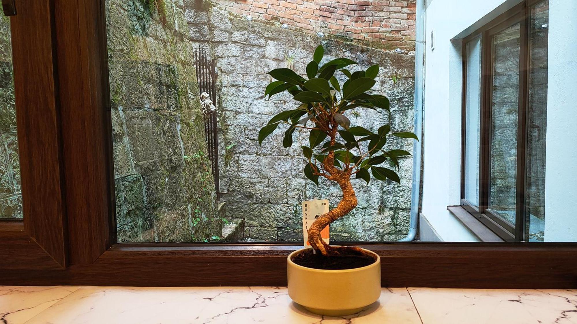 22 Loop Apartment ブラショフ エクステリア 写真