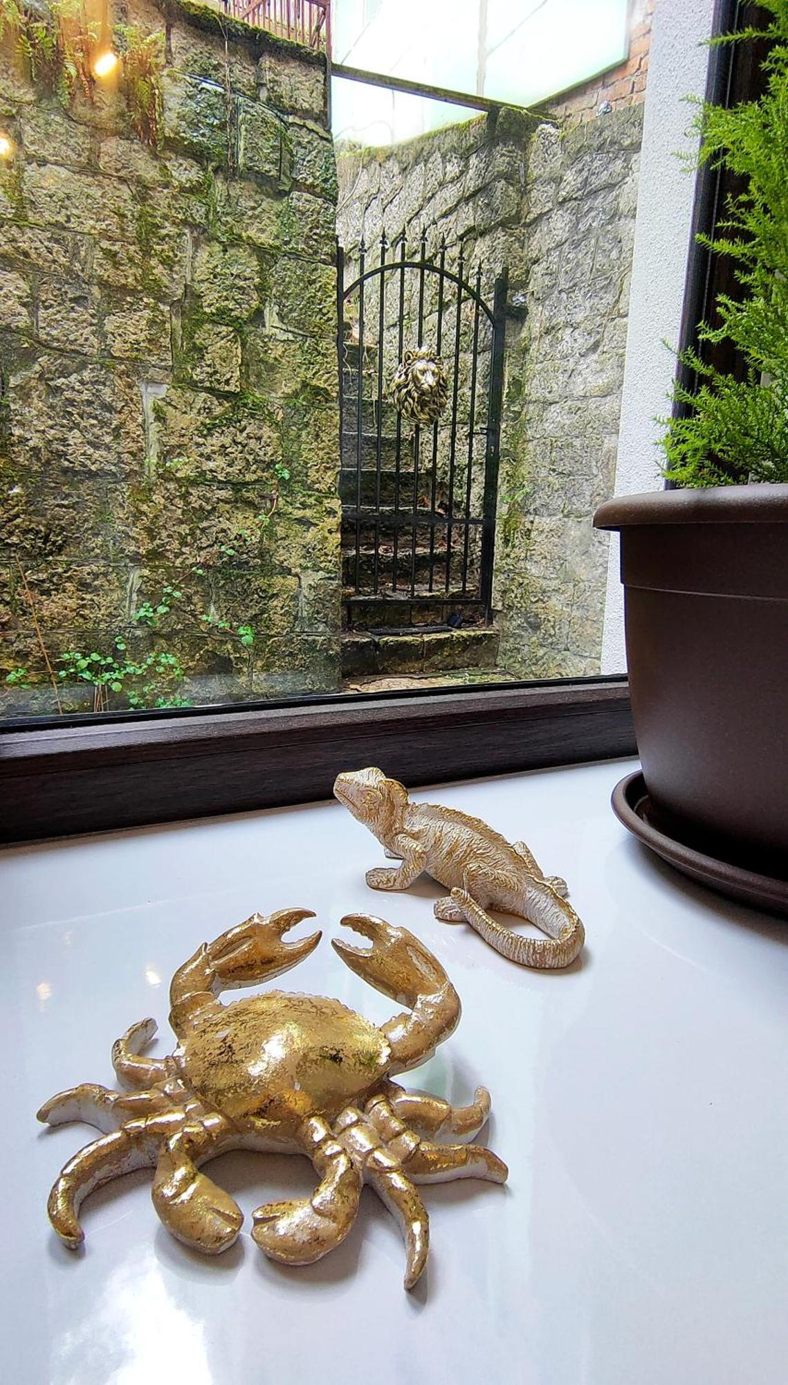 22 Loop Apartment ブラショフ エクステリア 写真